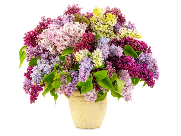 Bouquet of lilacs in a vase isolated on white background.
