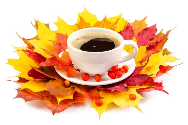 Herfst Stilleven Koffie Gele Bladeren Zwanenbessen Geïsoleerd Witte Achtergrond — Stockfoto