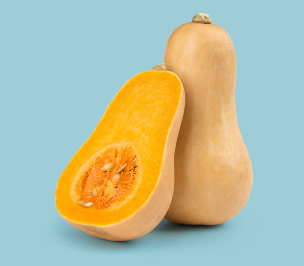 Fresh butternut squash isolated on a blue background