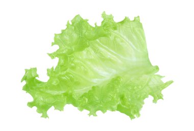 taze yeşil marul salata yaprakları beyaz arka plan üzerinde izole. Kırpma yolu dahil