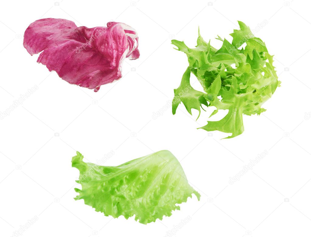 Salad leaf isolated on white background with clipping path