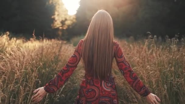 Parkta Mutlu Çekici Genç Hanım Uzun Saç Gülümseyen Çekici Kadın — Stok video