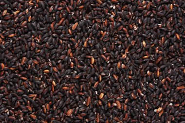 siyah pirinç pişmemiş arka plan doku yakın çekim