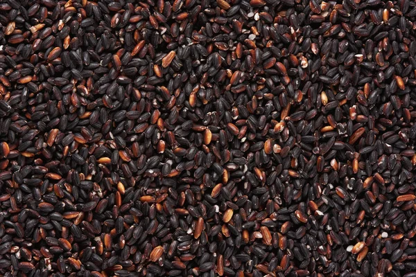 siyah pirinç pişmemiş arka plan doku yakın çekim