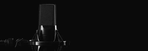 Professionelles Studiomikrofon Isoliert Auf Schwarzem Hintergrund Mit Kopierraum — Stockfoto