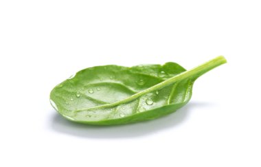 Ispanak yaprak beyaz arka planda izole