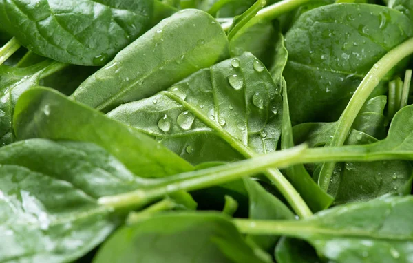 Spinach background. Top view — Stock Photo, Image