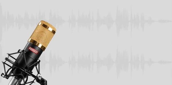 Profesionální mikrofon přes šedé pozadí s prostorem pro kopírování — Stock fotografie