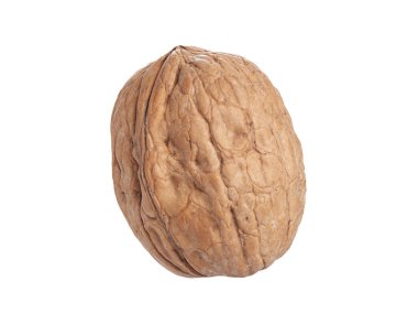 Beyaz arka planda izole tek bütün ceviz