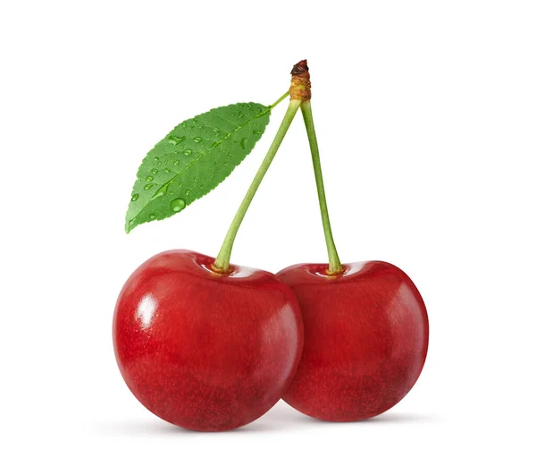 Two Cherries Leaf Isolated White Background Clipping Path — Stock Photo, Image
