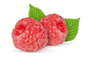 Beyaz arka planda yaprakları olan ahududu. Kırpma yolu dahil