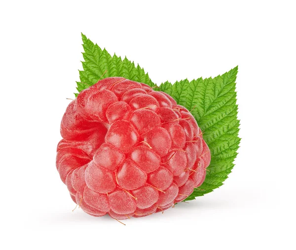 Framboise Avec Feuilles Isolées Sur Fond Blanc Avec Chemin Coupe — Photo