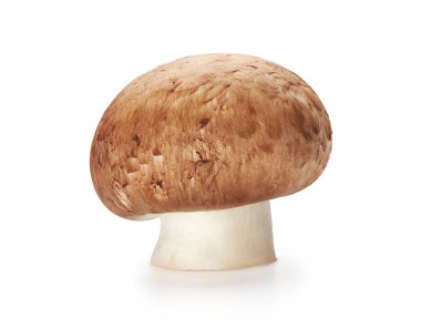 Tüm şampiyon mantarı kırpma yolu ile beyaz arka planda izole