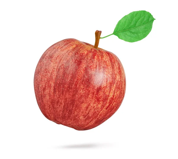 全红苹果 白色背景 收割路径 — 图库照片