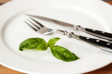 Tatlı taze fesleğen yaprağı