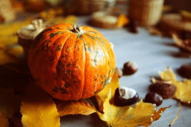 Olgun kabak, sonbahar yaprakları, kestane ve ahşap bir masa üzerinde yabani armut meyve. Cadılar Bayramı kavramı, sonbahar kompozisyon natürmort