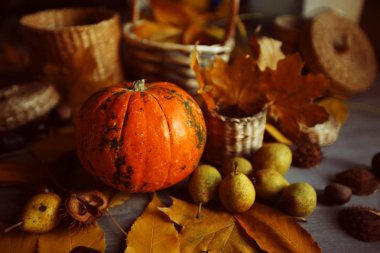 Olgun kabak, sonbahar yaprakları, kestane ve ahşap bir masa üzerinde yabani armut meyve. Cadılar Bayramı kavramı, sonbahar kompozisyon natürmort
