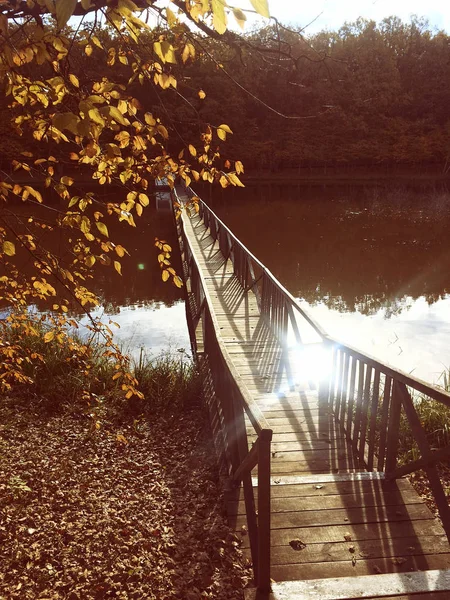Drewniany Most Jeziorze Wypoczynku Spacerów — Zdjęcie stockowe