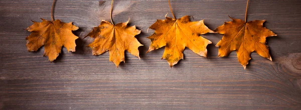 Yellow Autumn Maple Leaves Wooden Background Four Leaves Background — Stock Photo, Image