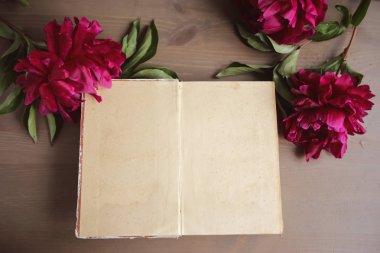 Şakayık çiçekleri ve vintage ahşap zemin üzerine eski kitap