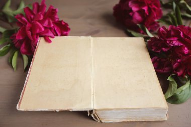 Şakayık çiçekleri ve vintage ahşap zemin üzerine eski kitap