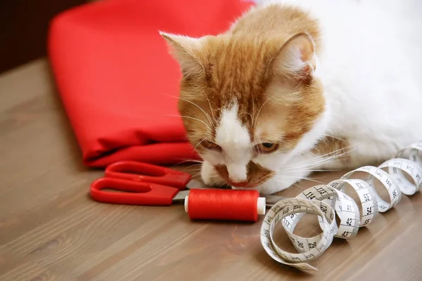 Fabric, scissors, thread, measuring tape. Sewing supplies. The red cat sits among sewing accessories.