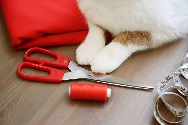 Ткань Ножницы Нить Измерительная Лента Швейные Припасы Красная Кошка Сидит — стоковое фото