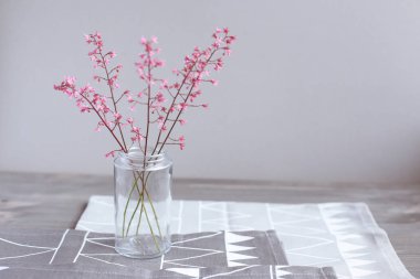 Pembe çiçekler ışık gri arka plan üzerinde bir cam kavanoza. Anneler günü. Bahar arka plan.