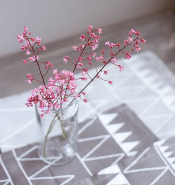 Pembe çiçekler ışık gri arka plan üzerinde bir cam kavanoza. Anneler günü. Bahar arka plan.