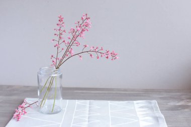 Pembe çiçekler ışık gri arka plan üzerinde bir cam kavanoza. Anneler günü. Bahar arka plan.