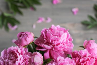 Çiçek kompozisyon. Ahşap arka plan üzerinde pembe şakayık çiçekleri. Anneler günü. Düz yatıyordu, en iyi görünümü. 