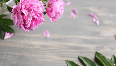 Çiçek kompozisyon. Ahşap arka plan üzerinde pembe şakayık çiçekleri. Anneler günü. Düz yatıyordu, en iyi görünümü. 