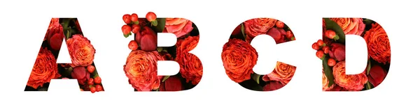 花卉字体字母 Abcd 从一个真正的红橙色玫瑰明亮 — 图库照片