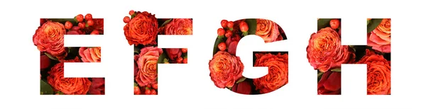 Blommig teckensnitt brev Efgh från en riktig röd-orange rosor för ljusa — Stockfoto