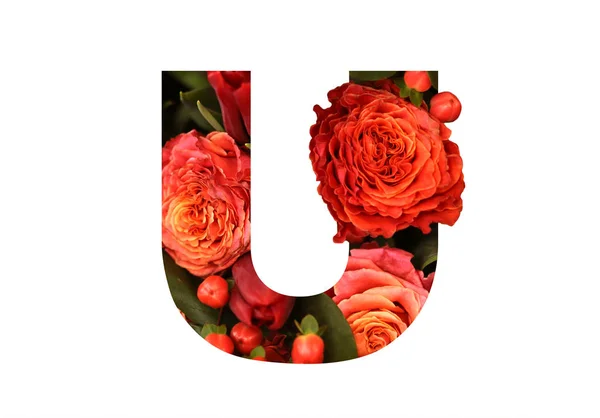 Blommig teckensnitt bokstaven U från en riktig röd-orange rosor för ljusa des — Stockfoto