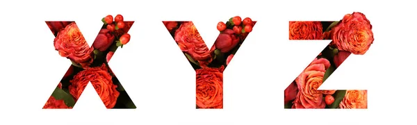 Çiçek yazı tipi mektup Xyz parlak d için gerçek kırmızı-turuncu gül — Stok fotoğraf