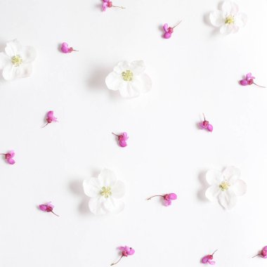 Doku beyaz kağıt üzerinde Bahar pembe ve beyaz çiçekler. Bahar bac