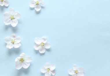 Dokusal mavi kağıt üzerinde bahar beyaz çiçekler. Bahar arka planı 