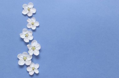 Dokusal mavi kağıt üzerinde bahar beyaz çiçekler. Bahar arka plan f