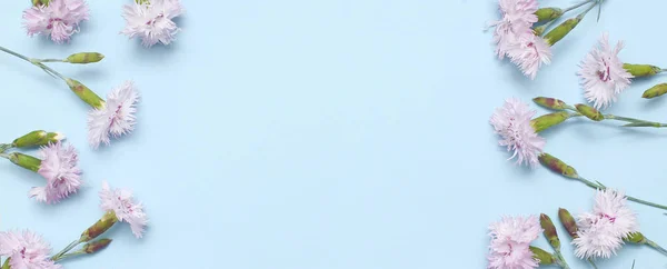 Dokusal mavi kağıt üzerinde ışık pembe karanfil ler ile bir dal. Tasarım ve dekorasyon için bahar arka planı — Stok fotoğraf
