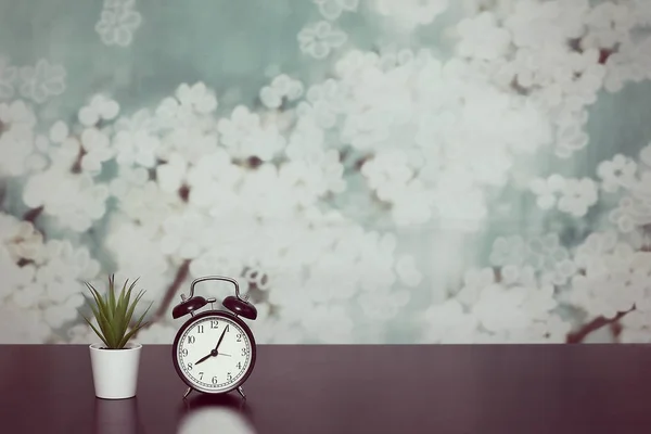 Clock with alarm clock and home plant in a pot on the table. The mode of the day, schedule, free and work time. — Stock Photo, Image