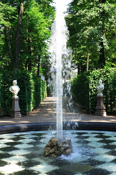 Bela Fonte Famoso Jardim Verão São Petersburgo Rússia — Fotografia de Stock