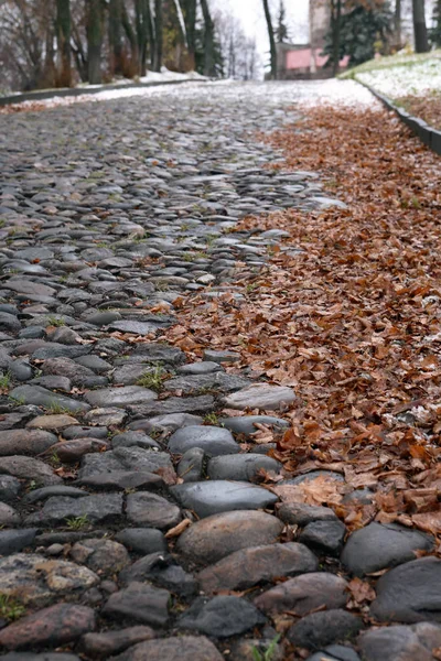 Autumn Background Old Empty Cobblestone Roadway Leaves Provincial Town — Stock Photo, Image