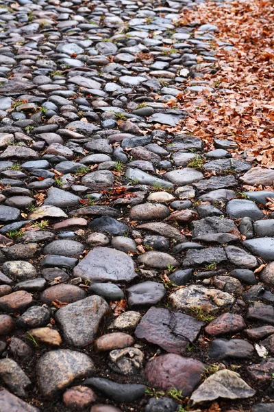 Autumn Background Old Empty Cobblestone Roadway Leaves Provincial Town — Stock Photo, Image