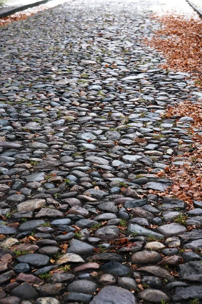 Autumn Background Old Empty Cobblestone Roadway Leaves Provincial Town — Stock Photo, Image