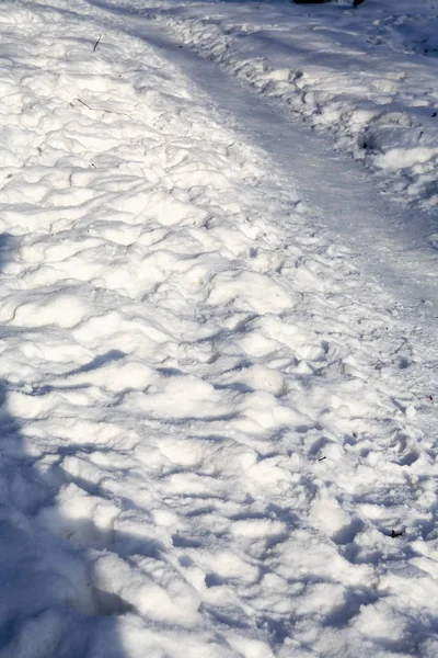 雪の上を歩く冬の背景 — ストック写真