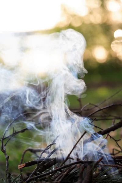 篝火与烟雾 — 图库照片
