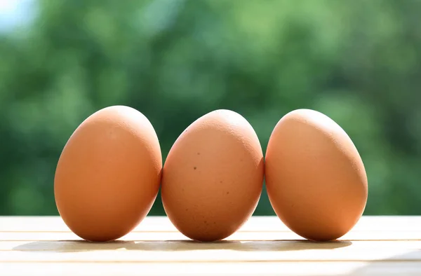 Three Chicken Eggs — Stock Photo, Image