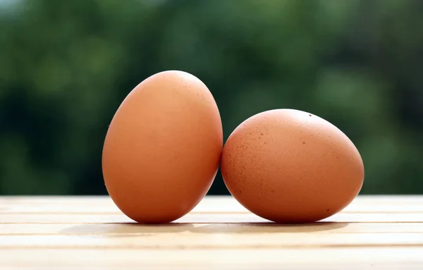 鶏卵のペア — ストック写真