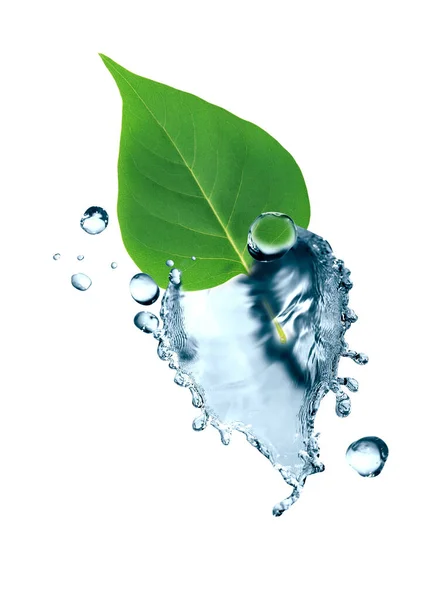 Hoja Verde Frescura Con Salpicadura Agua Sobre Fondo Blanco — Foto de Stock